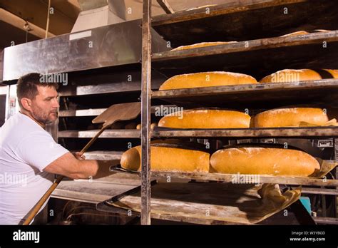 Bakery Worker Taking Out Freshly Baked Breads With Shovel From The
