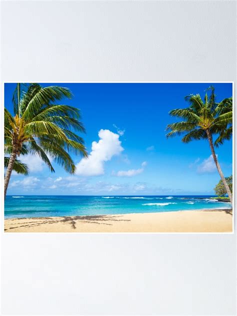 Coconut Palm Tree On The Beach In Hawaii Kauai Poster By Ellensmile