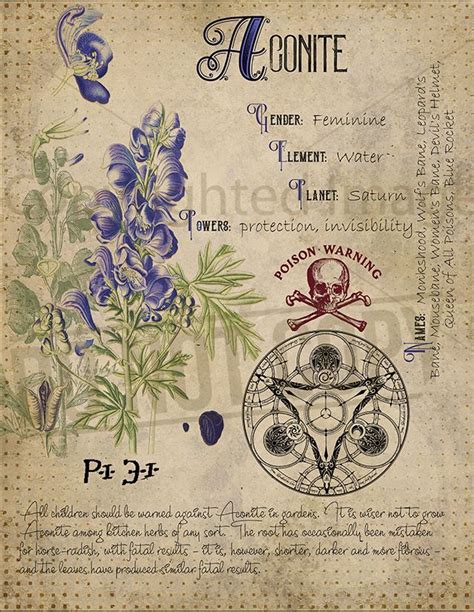 The witch's tools series series #5. Book of Shadows, Printable pages of Poisonous Plants ...