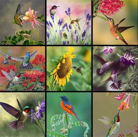 Lista 97 Foto Bosque De Coniferas Flora Y Fauna Actualizar