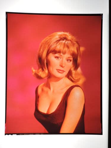 Marianna Hill 8x10 Color Transparency Busty Portrait Photo 1966
