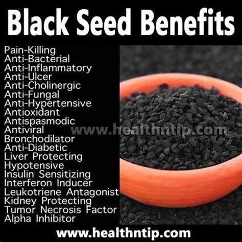 Cleopatra reportedly used black cumin seed oil for beautiful hair and skin, and hippocrates was fond of using it for digestive troubles. 1000+ images about HEALTH on Pinterest | Seaweed, Oregano ...