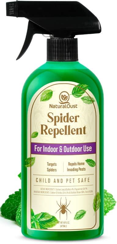Top 10 Best Peppermint Essential Oil Spider Repellent 2023 Reviews