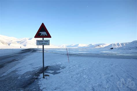 Polar Bear Sign Svalbard Norway Worldwide Destination