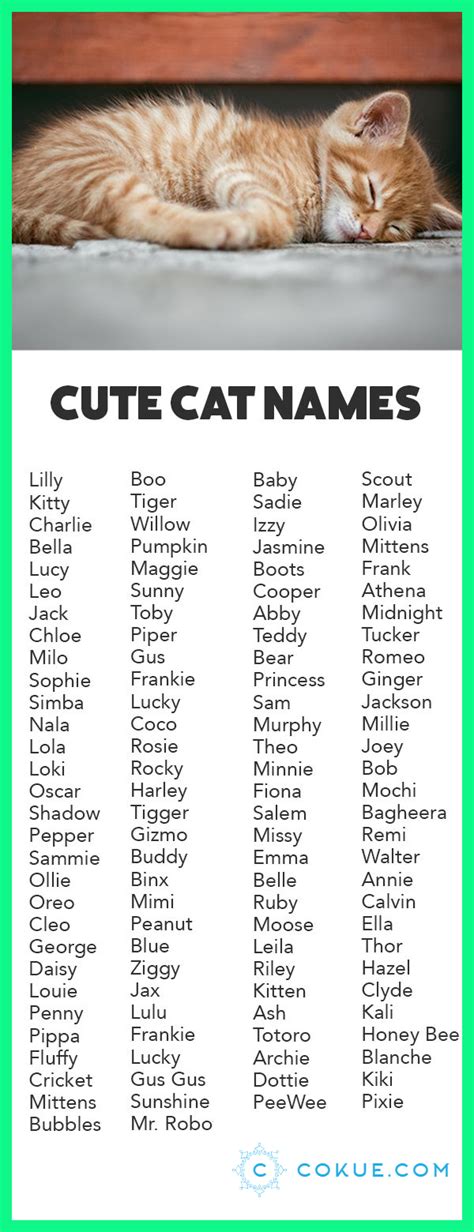 29 Weird Baby Animal Names Full Temal