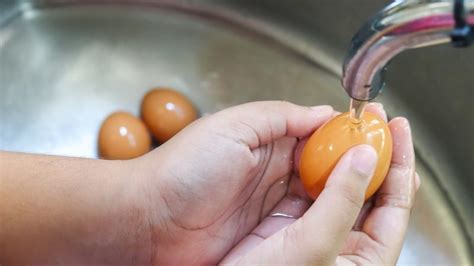 How To Clean Chicken Eggs All You Need To Know Farm And Chill