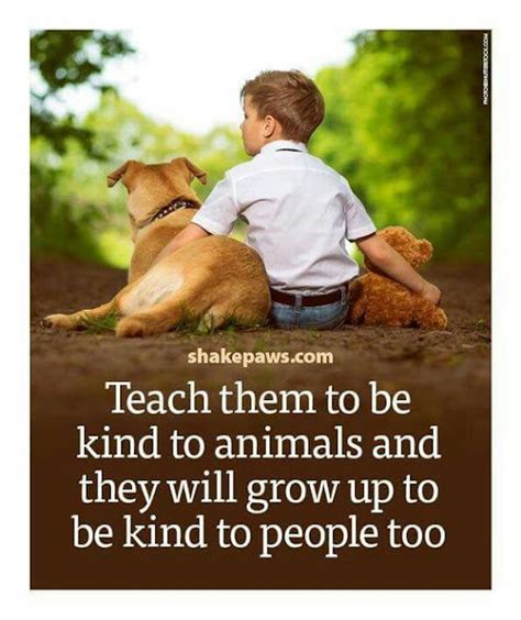24 Best Kindness To Animals Quotes Home Inspiration And Ideas Diy