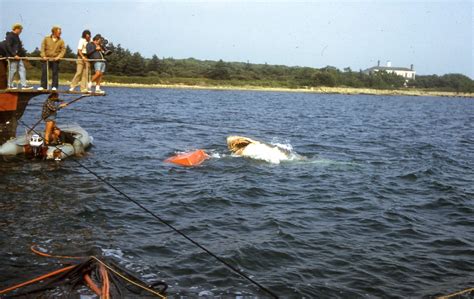 Rare Behind The Scenes Photographs From The Filming Of Jaws On Katama