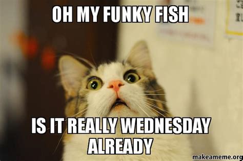 50 kickass funny wednesday memes to make hump day better