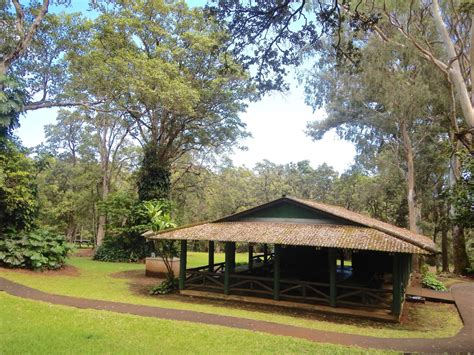 Kalōpā State Park and Recreation Area Campground | Outdoor Project