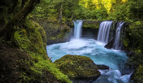 Hd Wallpaper Forest Rock River Waterfall Moss Cascade Columbia