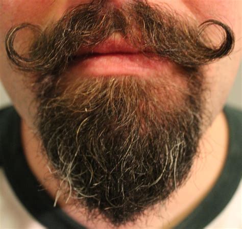 Movember Moustache Or Beard Beard On Brother
