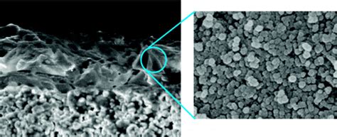 Highly Permeable Zeolite Imidazolate Framework 8 Membranes For Co2 Ch4separation Journal Of The