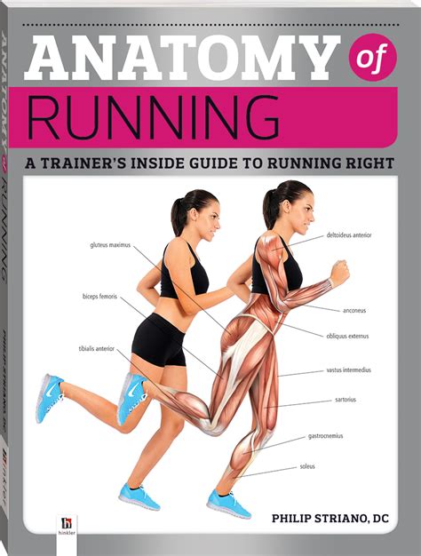 Anatomy Of Running 2019 Ed Reference Adults Hinkler