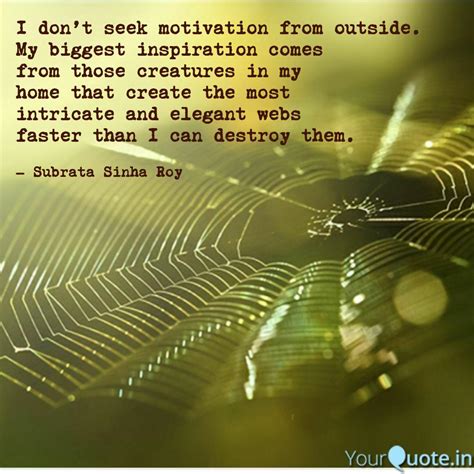 Best Spiders Quotes Status Shayari Poetry And Thoughts Yourquote