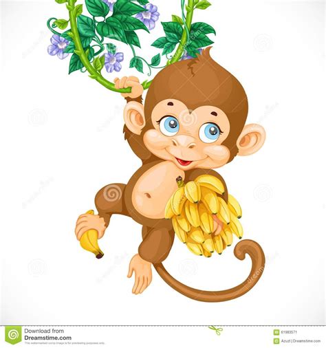 Cute Baby Monkey With Banana Stock Vector Image 61983571