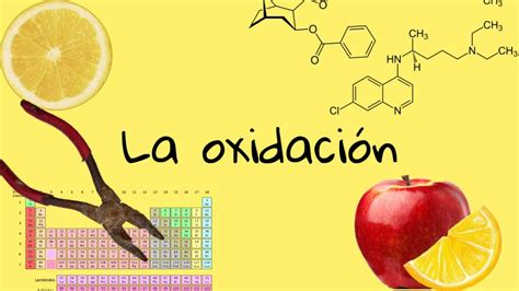 Oxidación ¿por Qué Se Oxidan Las Manzanas Y Cómo El Limón Atrasa Su