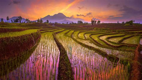 Example sentences from the web for fields. Countryside Fields Landscape 4K Wallpapers | HD Wallpapers ...