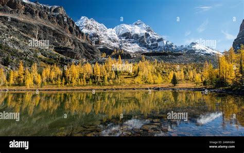 Snow Capped Mountain Peaks And Autumn Trees Reflected In The Clear