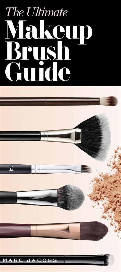 the beginner s guide to makeup brushes makeup brushes guide makeup makeup brushes