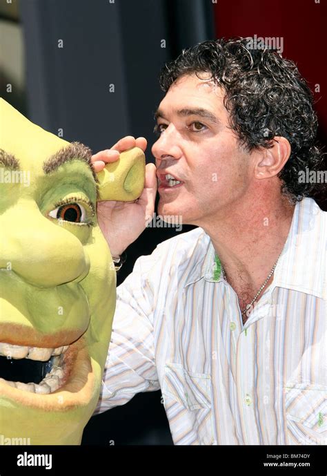 Shrek Antonio Banderas Shrek Honored With A Star On The Hollywood Walk