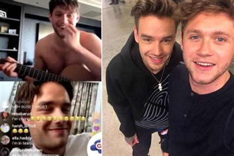 Liam Payne And Niall Horan Make Fun Of Louis Tomlinson On Instagram
