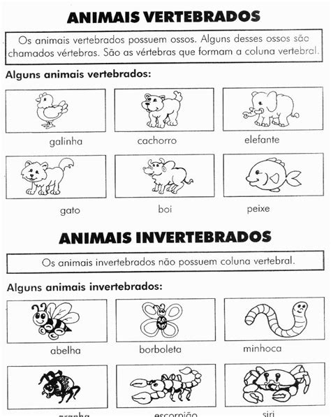 Texto Sobre Animais Vertebrados E Invertebrados 3 Ano Fundamental