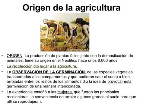 Historia De La Agricultura