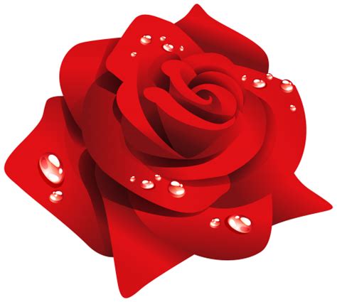 Red Rose With Dew Png Clipart Best Web Clipart Beautiful Flower