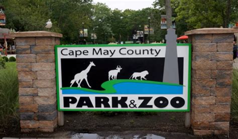 Zoo Animals Coming To Ocean City Fun Day Ocean City Nj Patch