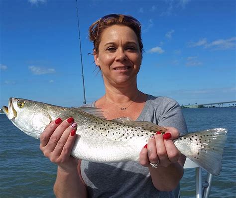 How Do Cold Fronts Effect Fishing In The Clearwater Pinellas Area