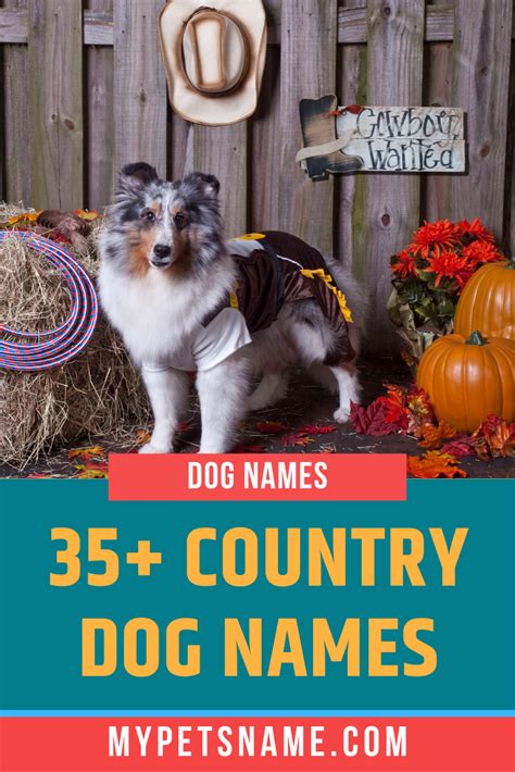 Country Dog Names Country Dog Names Dog Names Boy Dog Names