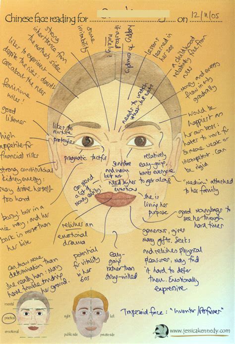 Chinese Medicine Face Chart