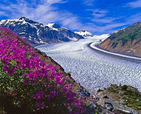 Salmon Glacier Scenery British Columbia Photo Information