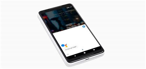 Google pixel 2 xl review: Google Pixel 2 XL Screen Specifications • SizeScreens.com