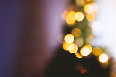 Free Images Light Bokeh Blur Abstract Plant Night Sunlight
