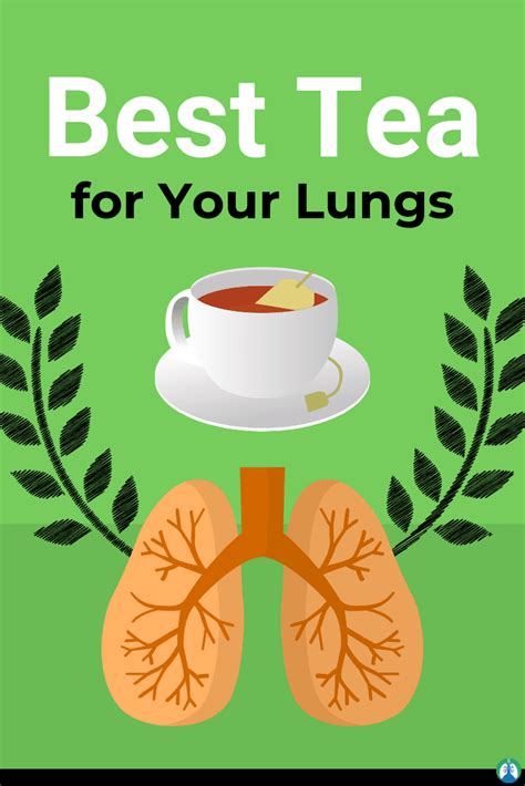 9 Best Lung Cleanse Tea Products For Breathing And Detox Lung Cleanse