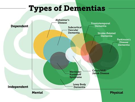 An Introduction To Different Types Of Dementia Carelinx Artofit