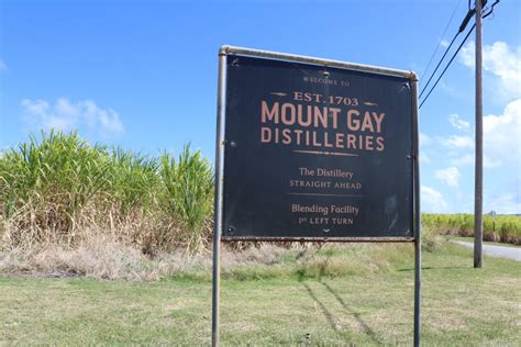 touring the mount gay distillery in barbados the wanderlust effect