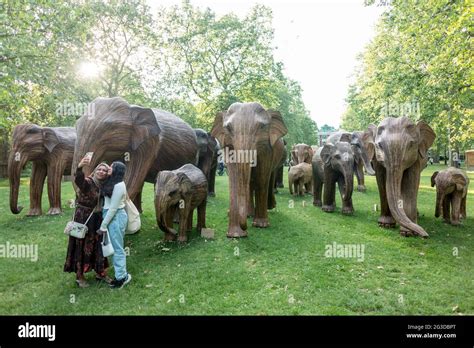 Ladies Taking A Selfie With The Lantana Elephant Sculptures Placed In Green Park In London