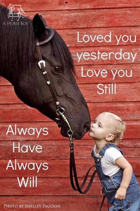 Sayings About Life Horses Word Of Wisdom Mania