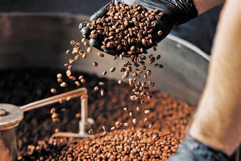 Producción Colombiana De Café Cae A 1108 Millones De Sacos En 2022 La Más Baja En Nueve Años