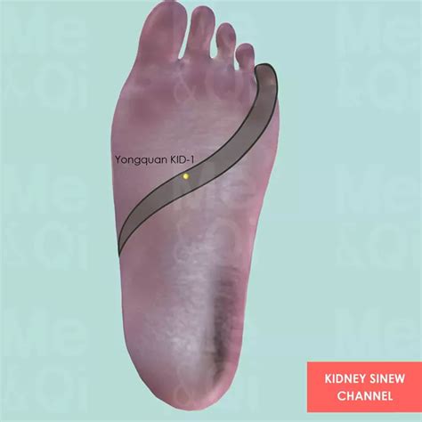 The Kidney Channel Of Foot Shao Yin