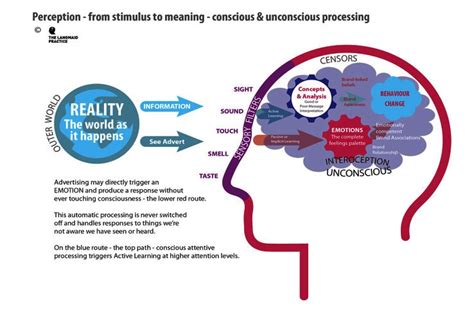 9 pengaruh teman teman akan berpengaruh terhadap pembentukan etika seseorang. Pembentukan Persepsi dan Faktor-Faktor yang Memengaruhi ...