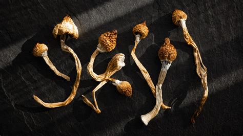 How To Take Magic Mushrooms Shrooms Safely