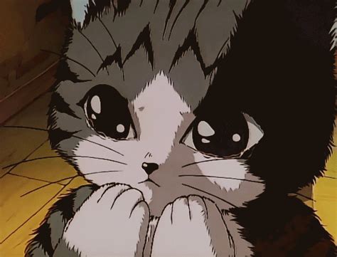 Update 62 Cat Anime Opening Meme Super Hot In Cdgdbentre