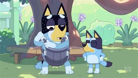 Bluey Season 2 Episode 13 Dad Baby Watch Cartoons Online Watch