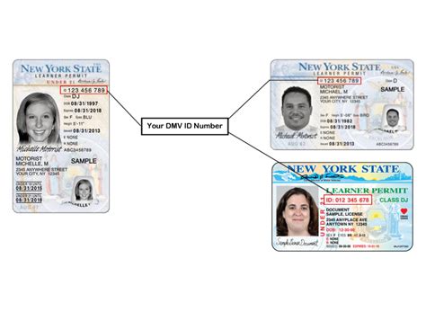 Where To Find Your Client Id On Your Learner Permit New York State