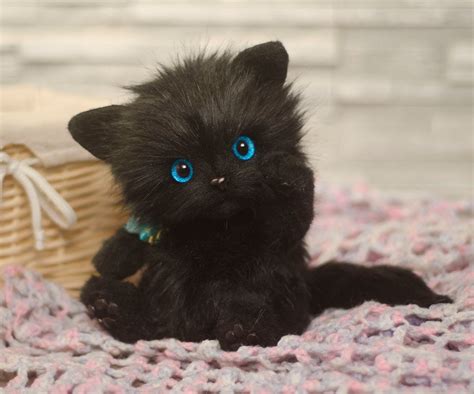 Kitten Black Cat Cat Teddy Teddy Kitten Authors Work Etsy Uk