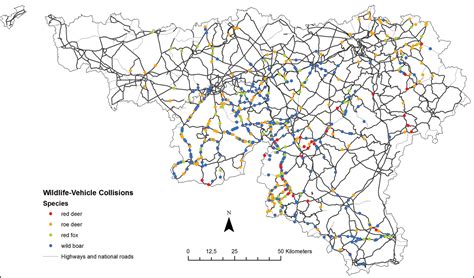 Spatio Temporal Patterns Of Wildlife Vehicle Collisions In A Region